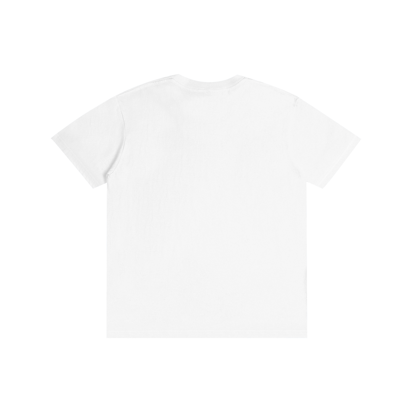 Raccoon & Blue Bird T-Shirt