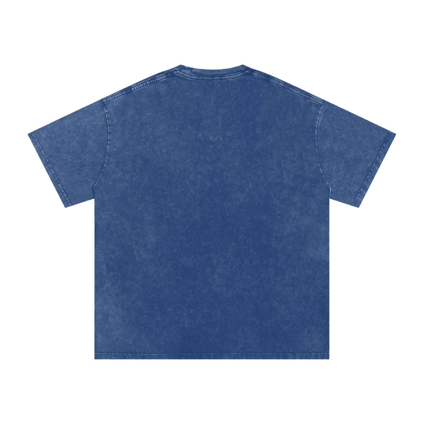 Vintage Washed Raccoon & Blue Bird T-Shirt